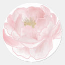 Search for peonie stickers Botanical