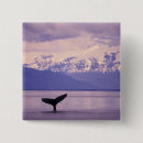 Search for dusk accessories Wildlife