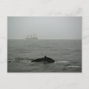 Search for whale postcards Seascape