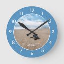 Search for sea turtle clocks Beach