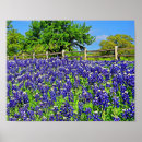 Search for bluebonnets art Country