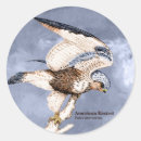 Search for kestrel stickers Raptor