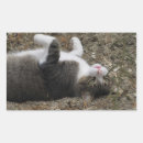 Search for upside down stickers Animals
