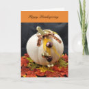 Search for decorations thanksgiving cards Pumpkin