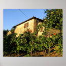 Search for wine posters Green