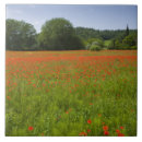 Search for natural world tiles Plants