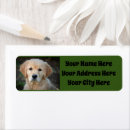 Search for golden retrievers return address labels Puppy