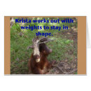 Search for exercise cards Animal