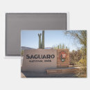 Search for saguaro magnets Saguaro national park