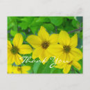 Search for donation thank you cards Flowers