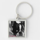 Search for french bulldog accessories Black and white