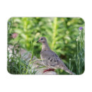 Search for birdwatcher magnets Nature