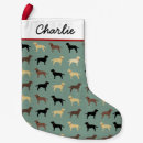 Search for lab christmas stockings Dogs