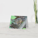 Search for chipmunk cards Wild