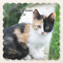 Search for cat coasters Humor