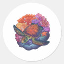 Search for reef turtle stickers Beach