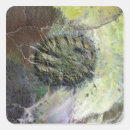 Search for cracked stickers Earth