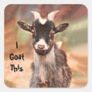 Search for funny goat sayings Farm animal