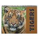 Search for endangered calendars Tiger