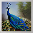 Search for peacock feather art Beauty