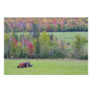 Search for tractor posters Autumn