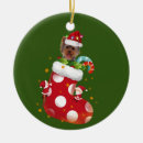 Search for yorkie christmas tree decorations Pajama