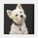 Search for collar magnets Nature