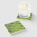 Search for green fern coasters Plant