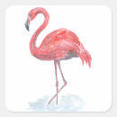 Search for pink watercolor flamingo stickers Bird