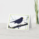 Search for blackbird cards Birds
