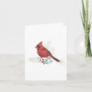 Search for red cardinals cards Northern red cardinal