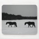 Search for black white horse mousepads Equine