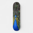 Search for large skateboards Animal