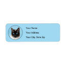 Search for cute kitten return address labels Siamese