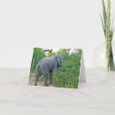 Search for south africa cards Elephant