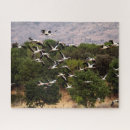 Search for storm puzzles Bird