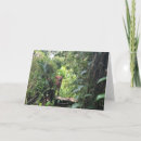 Search for borneo cards Indonesia