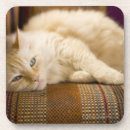 Search for couch coasters Sofa