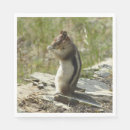 Search for prayed photography Wildlife