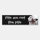 Search for pit bumper stickers Dog
