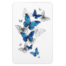 Search for butterflies magnets Moth