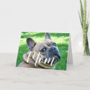 Search for funny dog mothers day cards Happy