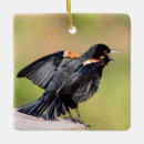 Search for blackbird christmas tree decorations Animal