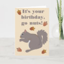 Search for gray squirrel Acorns