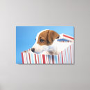 Search for boxes pet supplies Nature