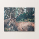 Search for deer antlers puzzles Buck