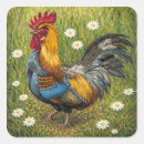 Search for roosters stickers Nature