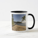 Search for seychelles mugs Coast
