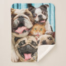 Search for animal photo blankets Funny