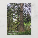 Search for oregon trail postcards Park